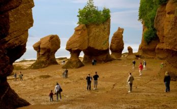Top Highlights Of A Family Vacation In New Brunswick