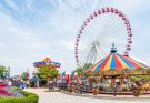 Fun Amusement Parks in the U.S.A.