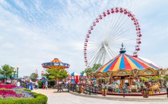 Fun Amusement Parks in the U.S.A.