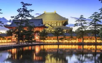 Exploring the Natural and Cultural Treasures of Nara Park