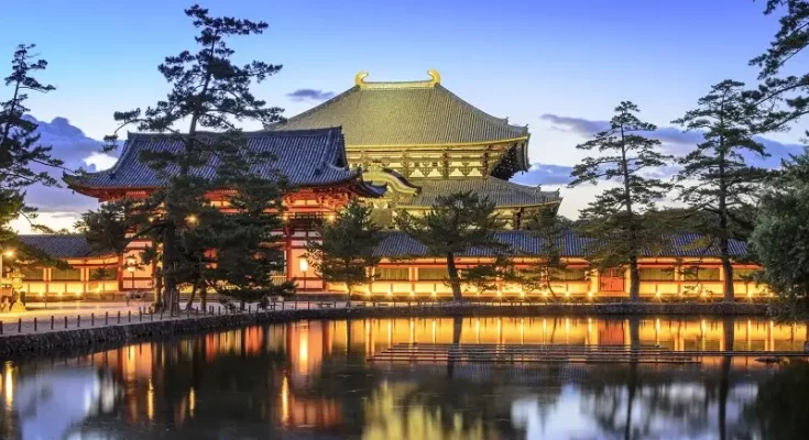 Exploring the Natural and Cultural Treasures of Nara Park