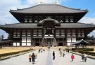 Todaiji Temple: A Majestic Spiritual Journey in Nara, Japan