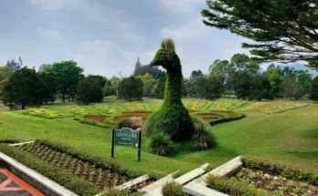 Taman Bunga Nusantara, an International Class Flower Garden Paradise at the Foot of Mount Gede