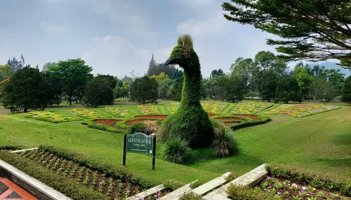 Taman Bunga Nusantara, an International Class Flower Garden Paradise at the Foot of Mount Gede